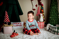 2020-11-28 Tristan Harthan Christmas mini