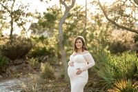 2021-01-30 Danielle Boobyer Maternity Session